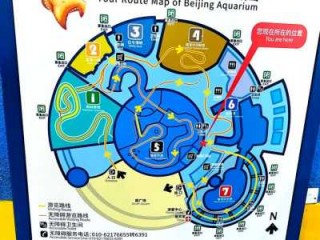 东戴河旅游攻略必玩的景点，东戴河旅游景点介绍
