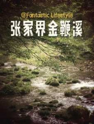 张家界金鞭溪景点介绍，张家界金鞭溪导游景点讲解