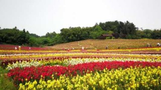 成都石象湖景区，成都石象湖景区几月去合适