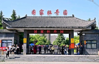 洛阳国家牡丹园，洛阳国家牡丹园门票多少钱一张