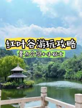 济南红叶谷门票优惠政策，济南红叶谷门票是多少