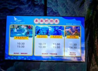 南京海底世界攻略？南京海底世界攻略 小红书？