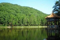 洛阳天池山风景区，洛阳天池山风景区图片？
