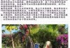 海南三日游多少钱，海南三日游多少钱人民币？