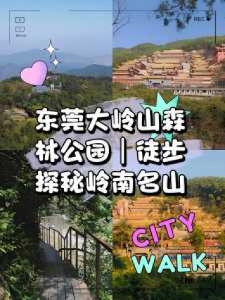 大岭山森林公园门票？大岭山森林公园门票免费的吗？