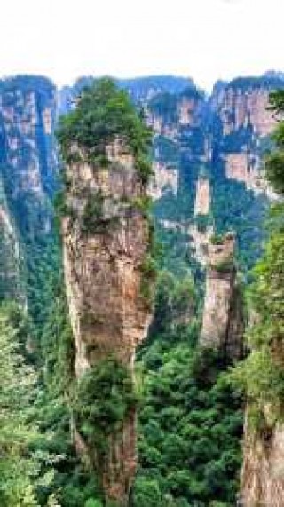 张家界现在可以去旅游吗，张家界现在可以出来吗？
