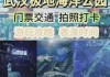 武汉海洋馆一日游攻略？武汉海洋馆门票费用？