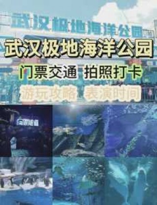 武汉海洋馆一日游攻略？武汉海洋馆门票费用？