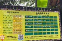 广州长隆门票费用表，广州长隆门票费用表2024？