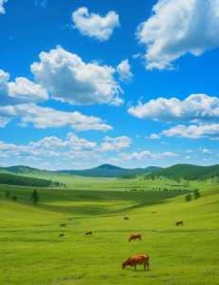 张北草原几月份去合适？张北草原6月份去草绿了没？