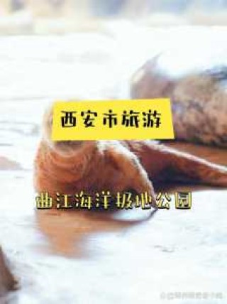 曲江海洋极地公园，曲江海洋极地公园门票