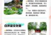 白洋淀一日游六大攻略，白洋淀一日游报团？