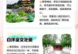 白洋淀一日游六大攻略，白洋淀一日游报团？