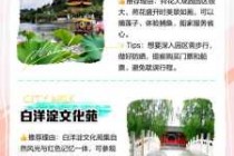 白洋淀一日游六大攻略，白洋淀一日游报团？