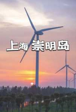 上海崇明岛一日游自驾游攻略？上海旅游崇明岛一日游攻略？