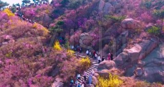大珠山门票现在多少钱，大珠山的门票多少钱？