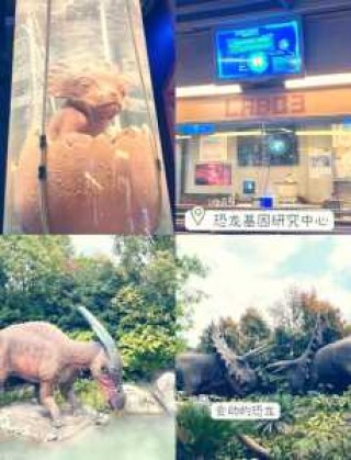 常州恐龙园夜场门票，常州恐龙园夜场门票多少钱一张？
