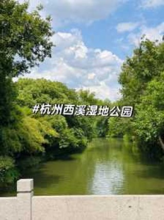 杭州西溪湿地公园门票，杭州西溪湿地公园门票老年人有优惠吗？