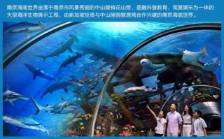 南京海底世界游玩攻略，南京海底世界门票费用多少