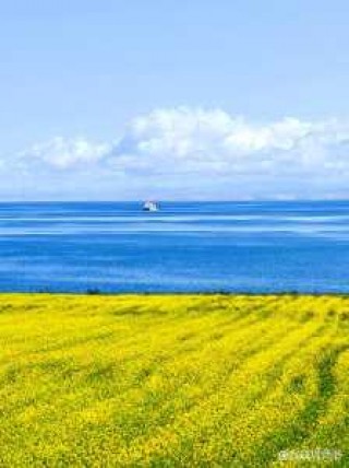青海湖必去的几个景点？青海湖必去的几个景点图片？