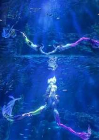 郑州两个海洋馆哪个好，郑州两个海洋馆哪个好?可以说说吗?？