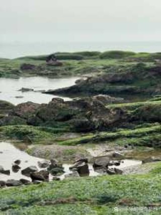 山东日照旅游景点海边？日照海边攻略？