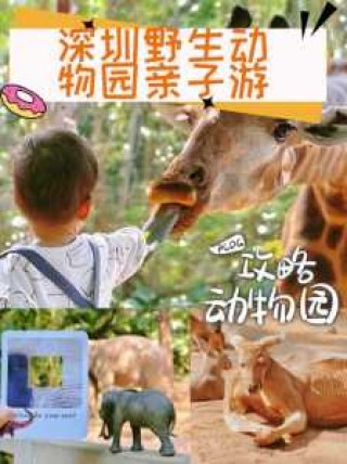 深圳亲子游玩好去处，深圳亲子好玩的地方排名榜？