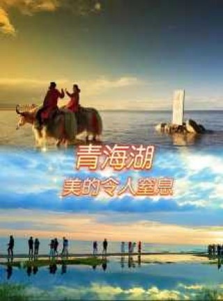西宁天气青海湖天气30天，西宁天气青海湖天气30天预报