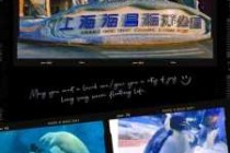 上海海昌海洋公园攻略2021？上海海昌海洋公园攻略2023？