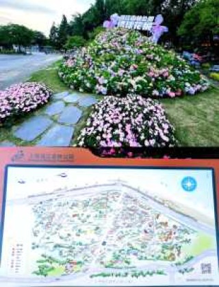 上海滨江森林公园地址的简单介绍