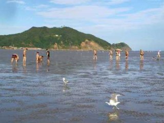 大鹿岛旅游攻略住宿？大鹿岛风景区住宿费用？