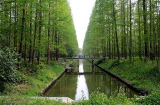 崇明岛自驾一日游攻略？崇明岛自驾一日游攻略路线？