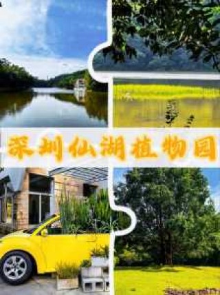 深圳仙湖植物园好玩不，深圳仙湖植物园哪个景点好看？