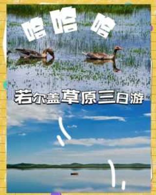 若尔盖旅游攻略？若尔盖旅游攻略手抄报？