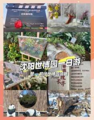 沈阳世博园门票多少钱，沈阳世博园门票多少钱60岁免费？