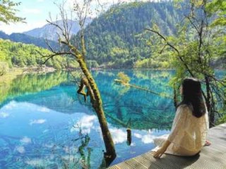 国旅九寨沟旅游报价？中国旅行社九寨沟旅游报价？