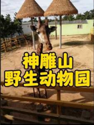 神雕山野生动物园门票？神雕山野生动物园门票599？
