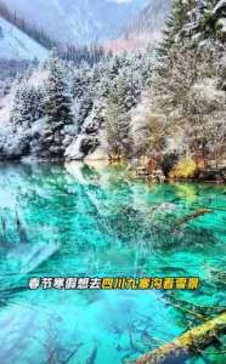 过年去什么地方旅游比较好，过年的时候去哪里旅游比较好又便宜