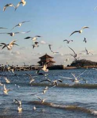 青岛一日游必去的景点？青岛一日游最佳顺序？