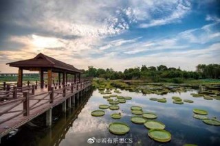 苏州乐园森林水世界，苏州乐园森林水世界游玩攻略？