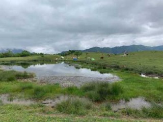 四川卧龙旅游攻略？四川卧龙山风景区？