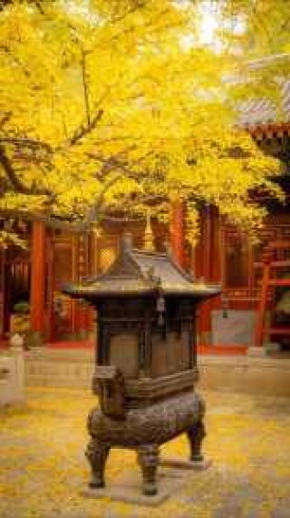 北京必去前十寺庙，北京必去前十寺庙有哪些,求学业去哪个寺庙最灵验?