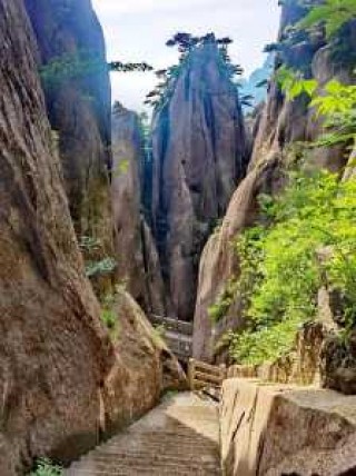 黄山奇石的风景，黄山奇石的风景图片