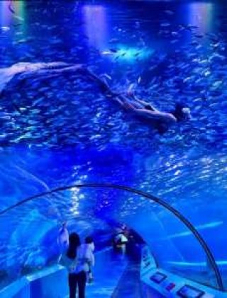 南京海底世界怎么走，南京海底世界怎么走最近