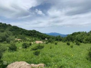 房山白草畔自然风景区，房山白草畔自然风景区开放了吗？