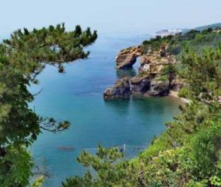 大连金石滩旅游攻略，大连金石滩旅游攻略一日游多少钱
