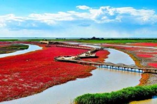 盘锦红海滩门票2021，盘锦红海滩门票2024高考考生