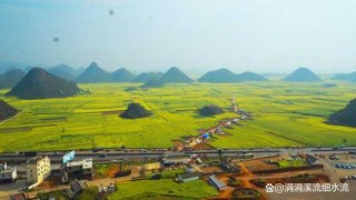罗平旅游景点大全？曲靖罗平旅游景点大全？