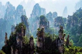 张家界有几个景区？张家界有几个景区分别是多少钱一个景区？
