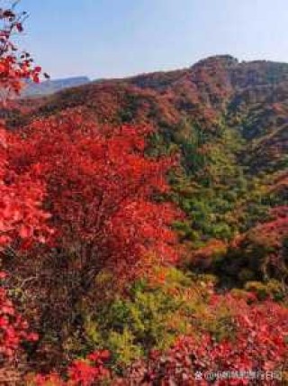 长白山红叶谷最佳时间？吉林长白山红叶谷美景的时间？